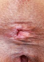 Salee Lee from ATK Petites