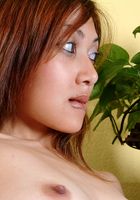 Satami in upskirts and panties, Satami (sat003) ATK Exotics: Satami (Satami in upskirts and panties)