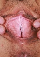 Satine Summers from ATK Petites