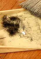 Shadow Shaves her Minge, Shadow (sha043) ATK Natural & Hairy: Shadow (Shadow Shaves her Minge)