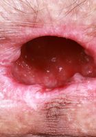 Sia Wood from ATK Natural & Hairy