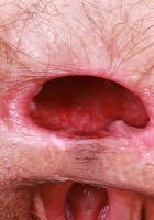 Sia Wood from ATK Natural & Hairy