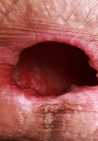 Sia Wood from ATK Natural & Hairy