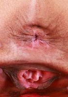 Sona Bella from ATK Exotics