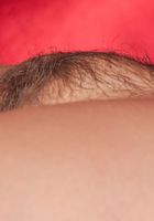 Sosha from ATK Natural & Hairy