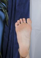 Taylor Dare in footfetish, Taylor Dare (tay032) ATK Galleria: Taylor Dare (Taylor Dare in footfetish)