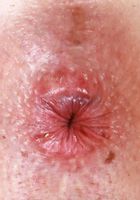 Tess Thompson from ATK Galleria