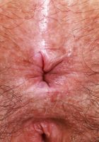 Violet Viper from ATK Natural & Hairy