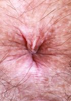 Violet Viper from ATK Natural & Hairy