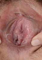 Yukina Kaname in exotic and hairy, Yukina Kaname (yuk002) ATK Petites: Yukina Kaname (Yukina Kaname in exotic and hairy)